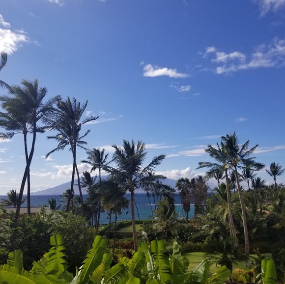 Meet your Posher, Alexis - Picture 1 of 1